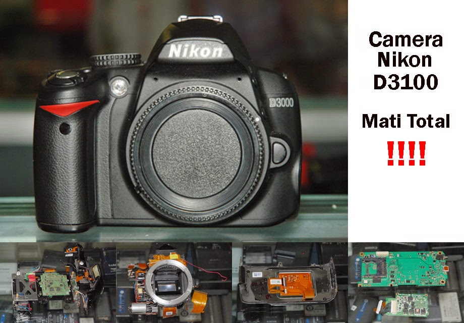 Как настроить nikon d3100 для хороших фотографий