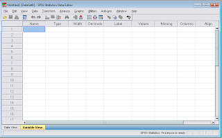 Редактор данных spss создает файл в формате