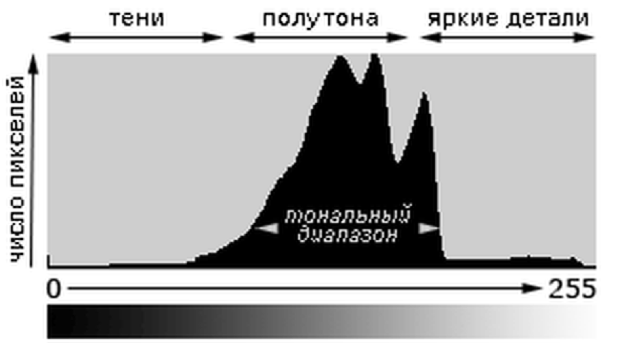 Гистограмма в фотографии как пользоваться