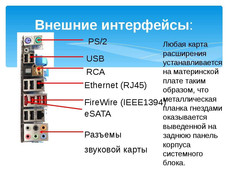 Гнездо звуковая схема