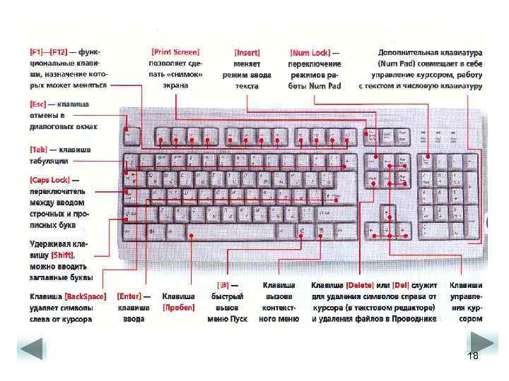 Укажите какие клавиши клавиатуры можно использовать для удаления символов