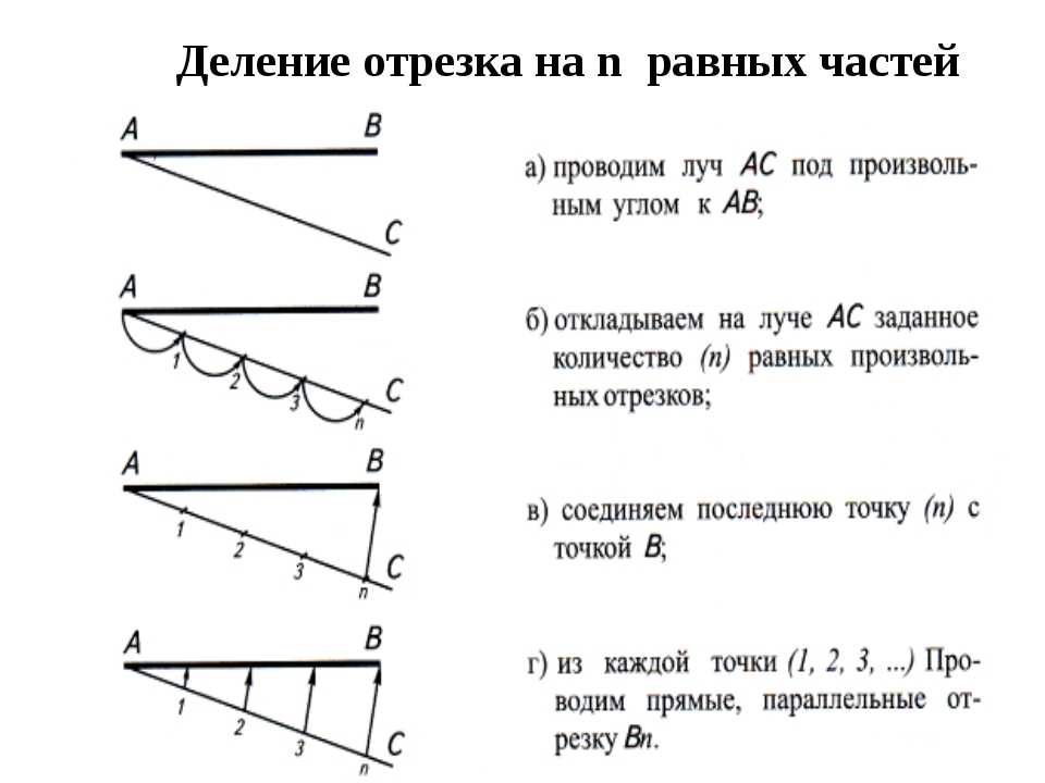 Как в автокаде разделить отрезок на равные части