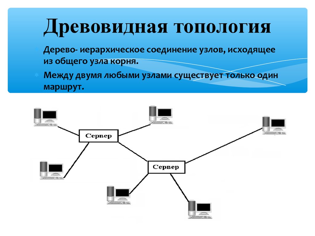 Дерево сети