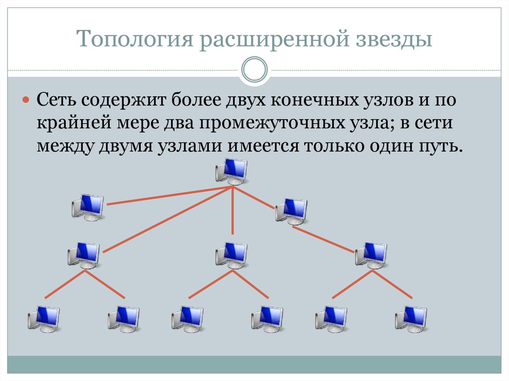 Тип звезда топология сети