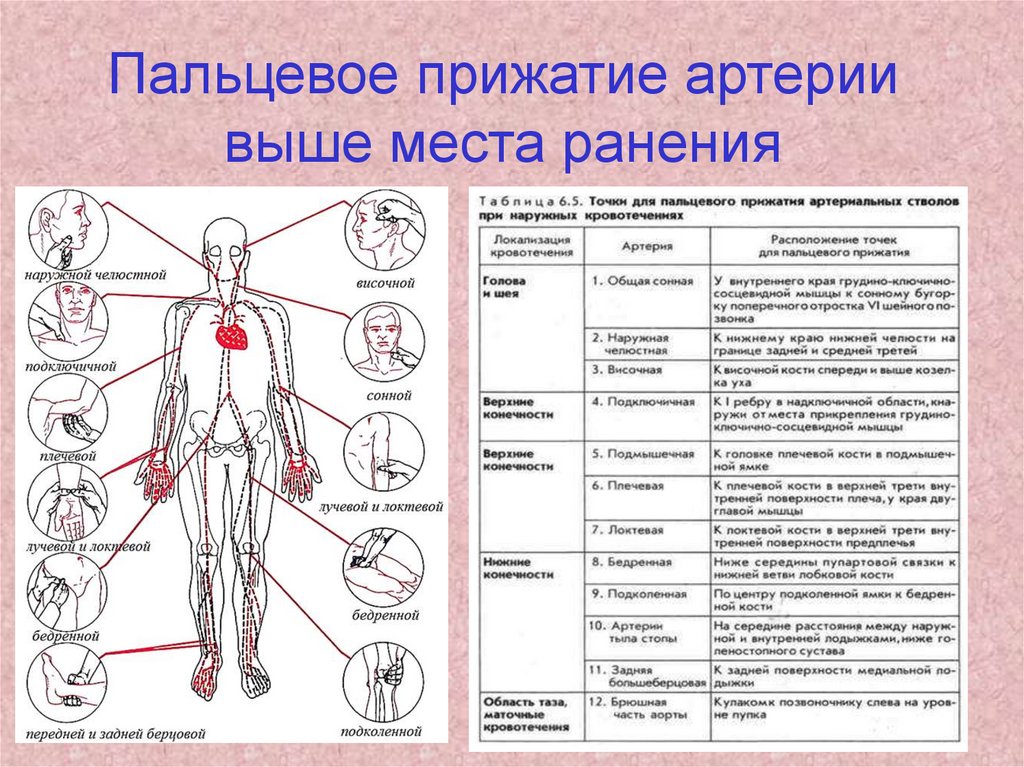 Картинки пальцевое прижатие артерии