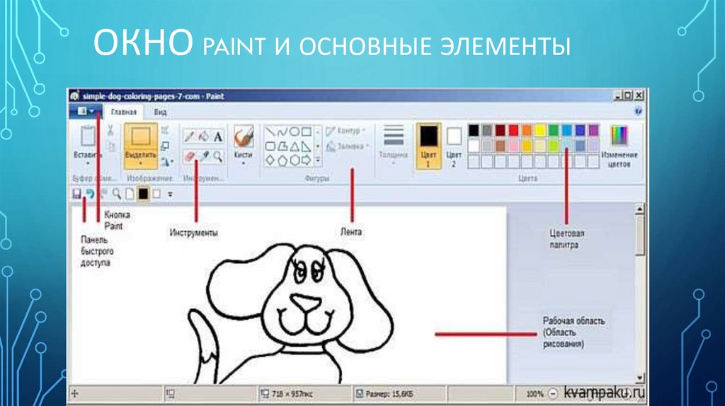 Редактор paint является