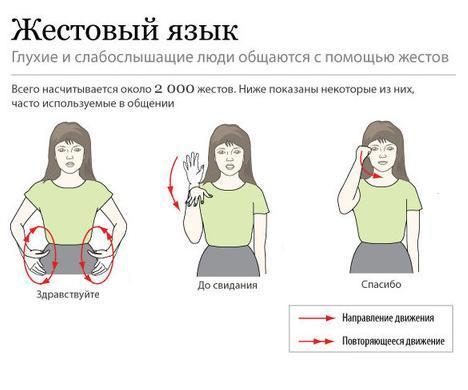 Самоучитель по фотографии для начинающих на canon