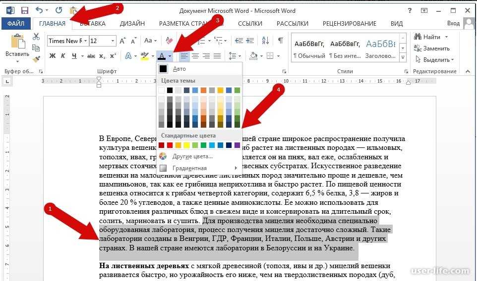 Как выделить блок текста в ворде