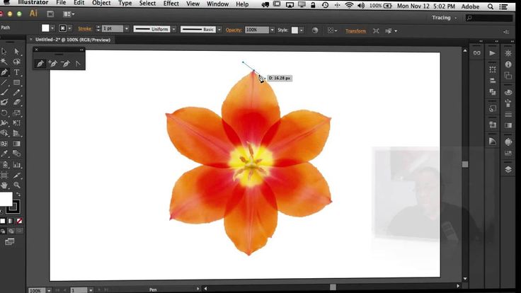 Как установить adobe illustrator бесплатно