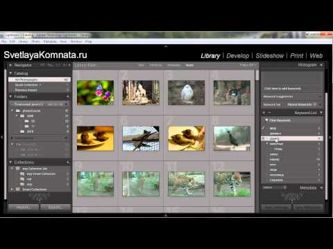 Как найти библиотеку lightroom