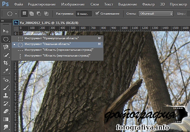 Обрезать фото по кругу. Эллиптическое выделение в фотошопе. Инструмент область в фотошопе. Овальное выделение в фотошопе. Прямое выделение в фотошопе.