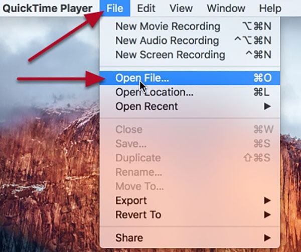 Файл mov. QUICKTIME Player обрезка видео.