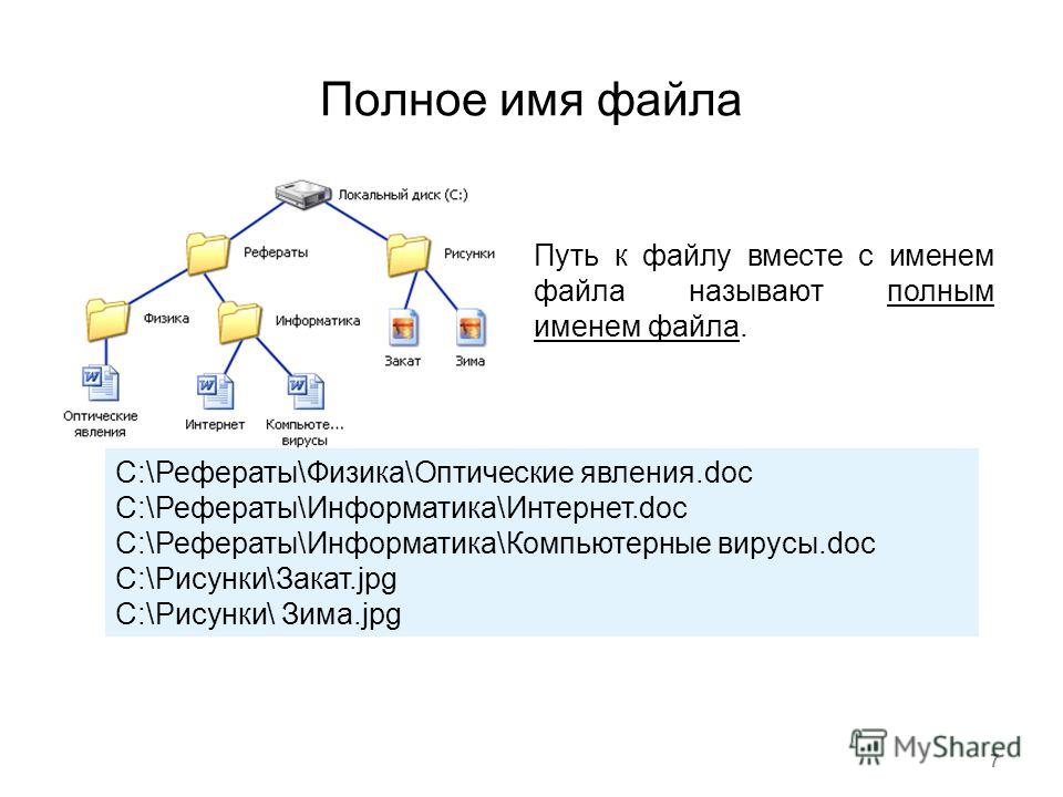 Поименованная группа файлов выделенных по какому либо общему признаку или свойству называется