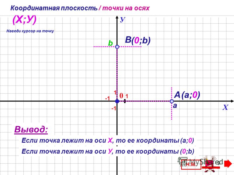 Оси x и y рисунок