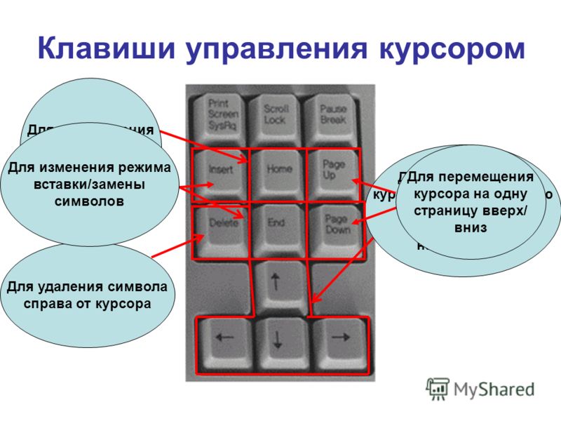 Переместить курсор в начало строки linux