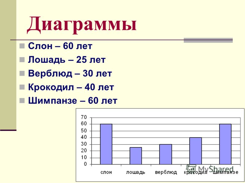 Столбчатые диаграммы 6 класс видеоурок виленкин объяснение