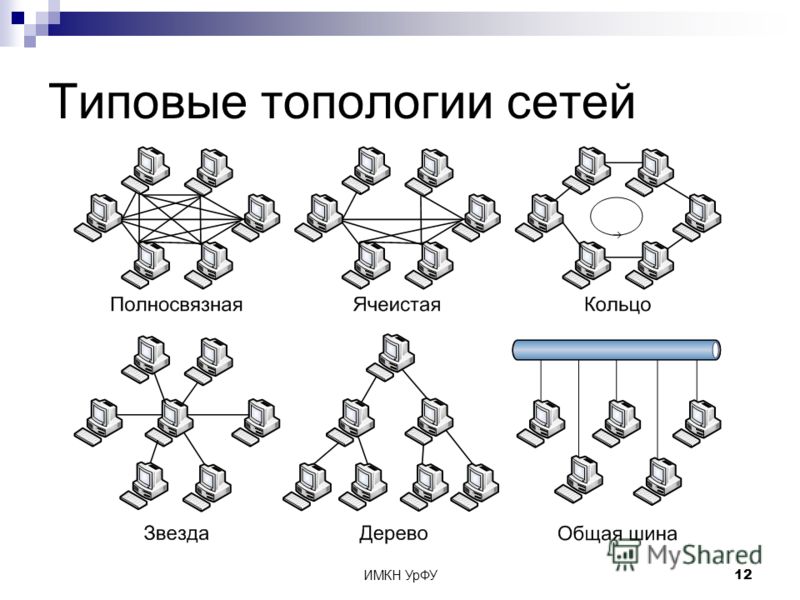 Сеть согласно. Топология локальных компьютерных сетей шина кольцо звезда. Топология локальных вычислительных сетей шина звезда. Топология звезда шина кольцо полносвязная ячеистая схема. Топология компьютерных сетей шина кольцо звезда ячеистая смешанная.