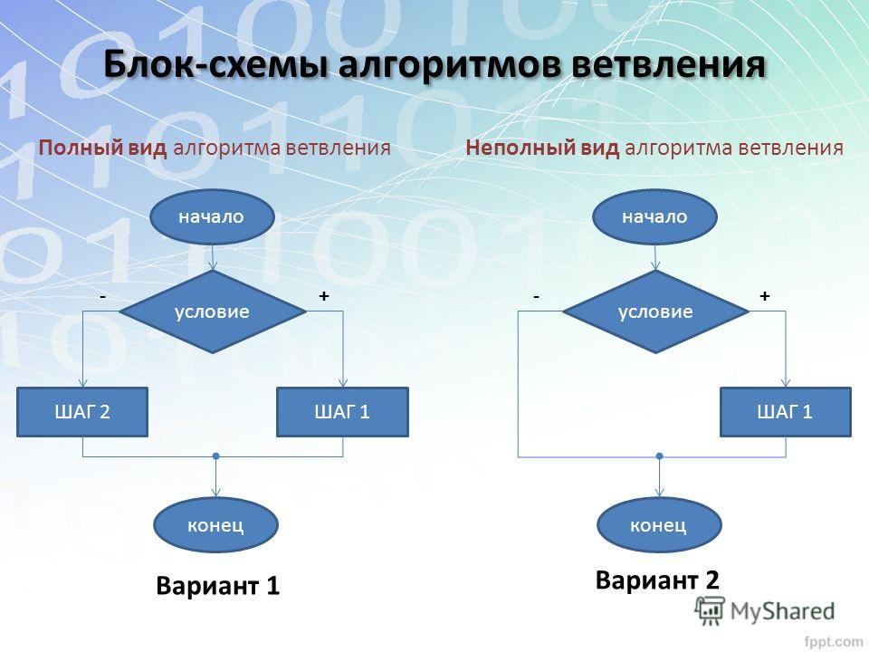 Схема полного ветвления информатика