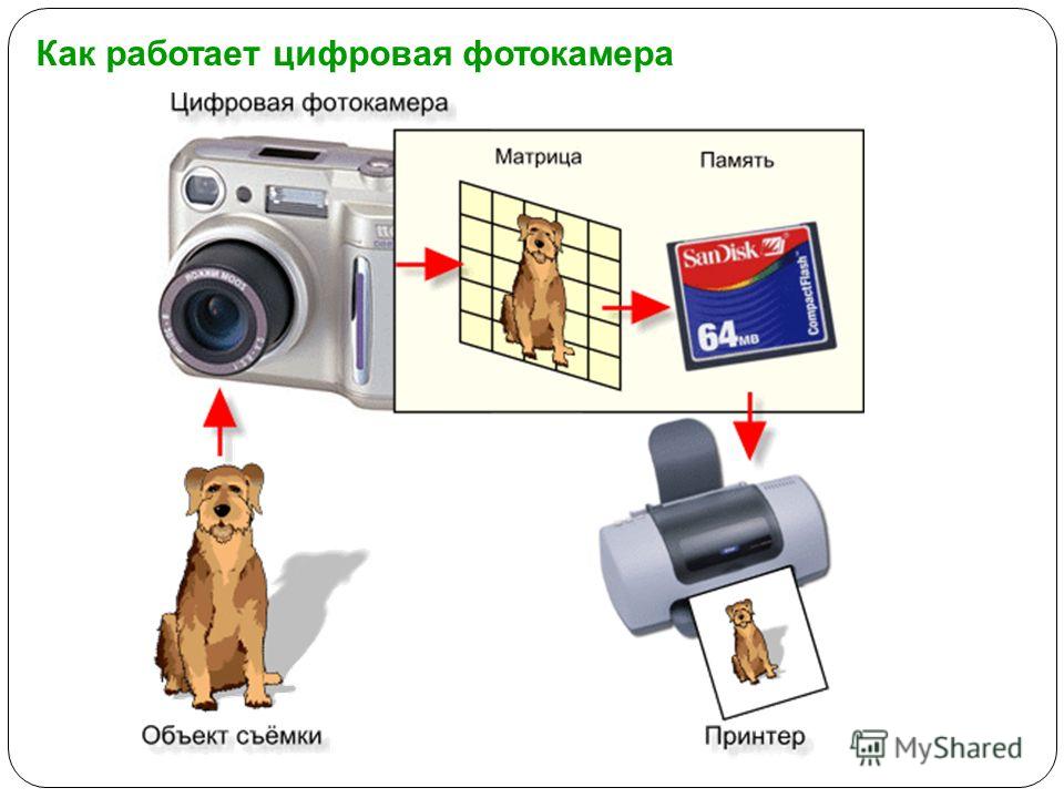 Не работает цифровой. Как работает цифровая камера. Как работает фотоаппарат. Строение цифровой видеокамеры. Принцип работы цифровой камеры.