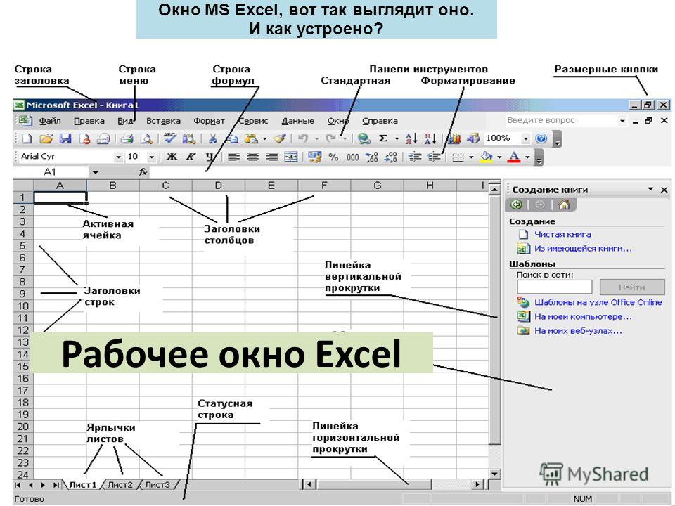 Обл программа. Рабочая область в excel. Рабочая область программы Microsoft excel. Таблица excel рабочая область. Запуск программы MS excel.