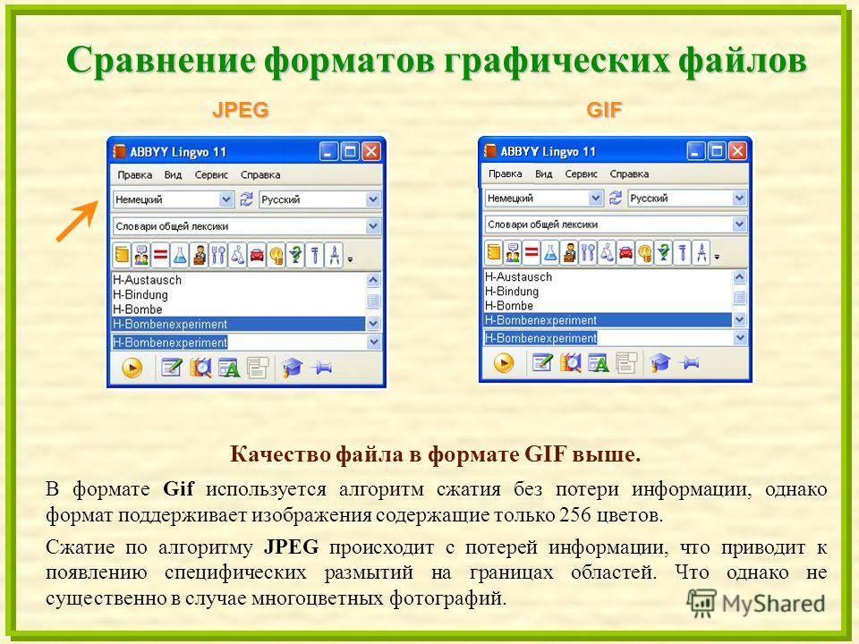 Какой из форматов gif или jpeg обеспечивает наименьшие потери качества изображения