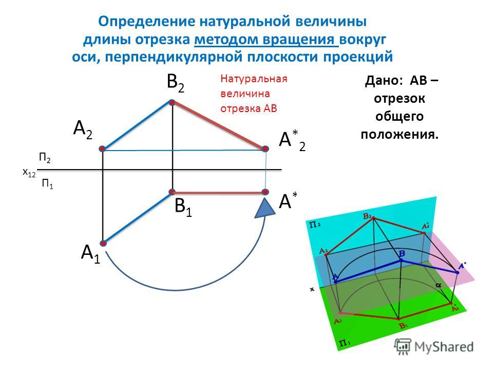 Натуральная величина размера