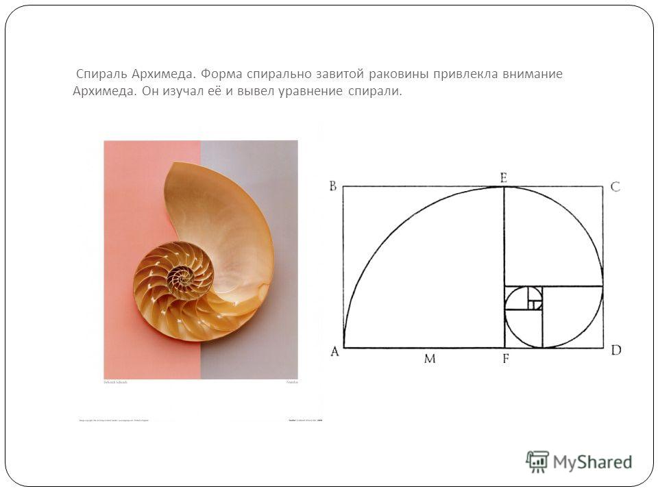 Спираль архимеда чертеж