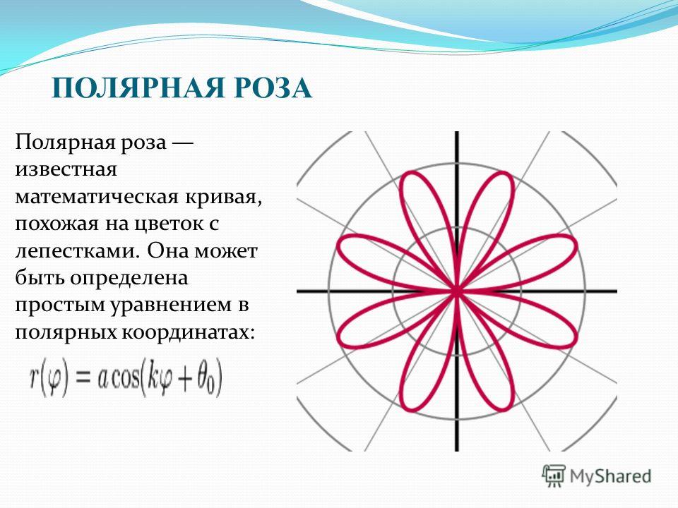 Розы гвидо гранди проект