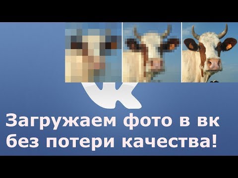 Как по ватсапу передать фото без потери качества