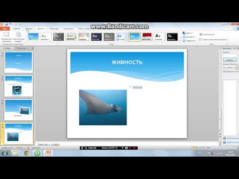 Как работать в пауэр поинт презентации пошагово
