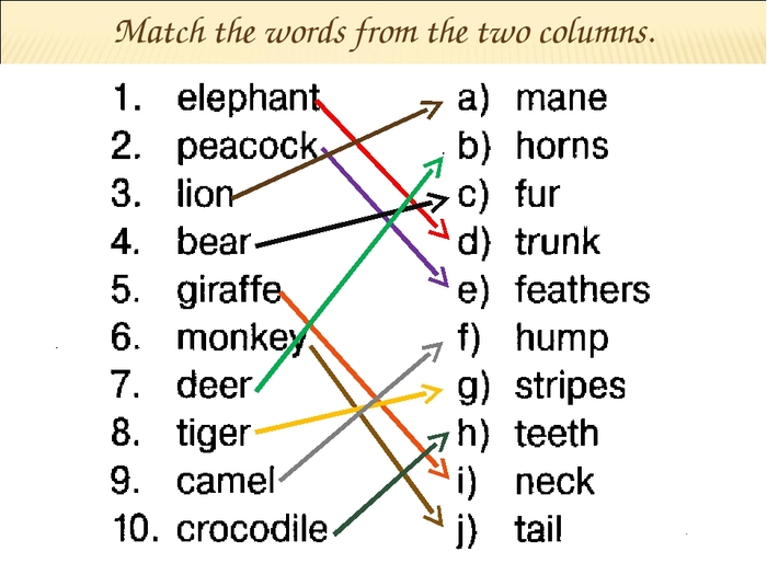 Match the words in the columns. Match the Words from the two columns 5 класс Elephant Peacock. Задания Match the Words. Английский Match the Words from two columns. Match the Words from the two columns 5 класс.