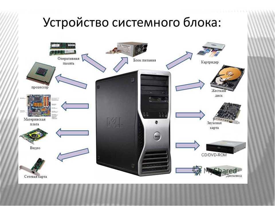 Укажите все устройства которые входят в видеосистему персонального компьютера