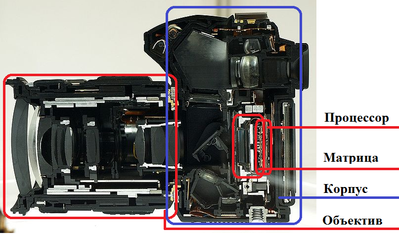 Устройство фотоаппарата. Строение фотоаппарата зеркального Canon. Зеркальный фотоаппарат снизу отверстие. Фотокамера в разрезе. Зеркальная камера в разрезе.