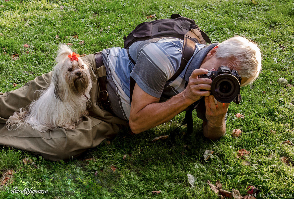 Что такое фото день у фотографа