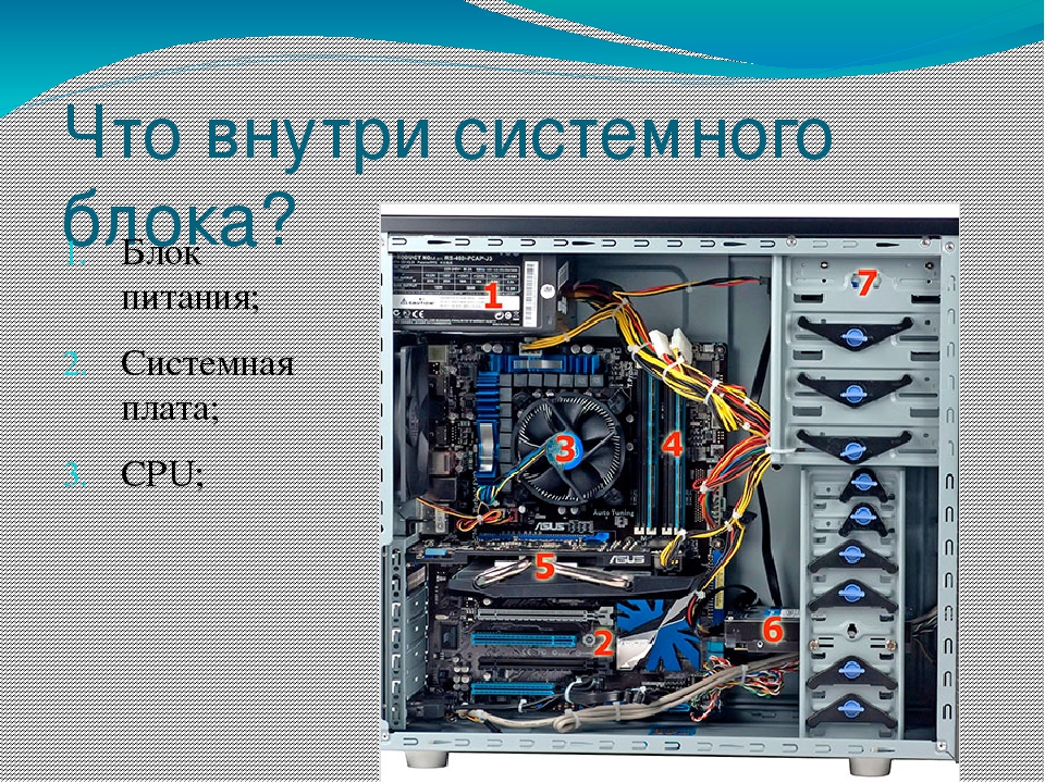 Какие устройства входят в состав графического адаптера дисплейный процессор