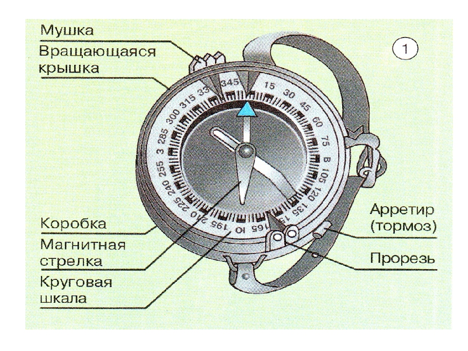 Строение компаса рисунок