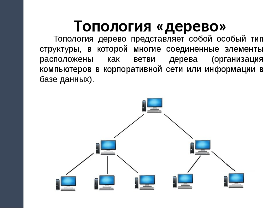 Какая из приведенных ниже схем соединения компьютеров представляет собой замкнутую цепочку