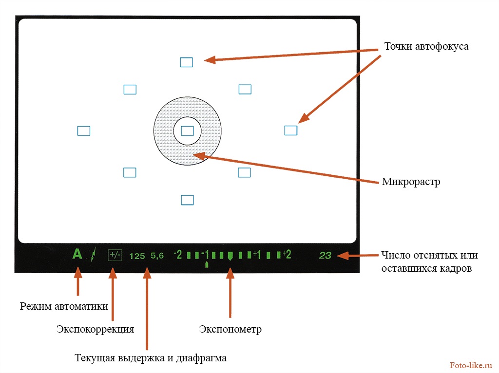 Камера точка. Зеркалка +клинья в видоискателе. Фазовый датчик автофокуса. Точки фокусировки в видоискателе. Точки фокусировки фотоаппарата Кэнон.