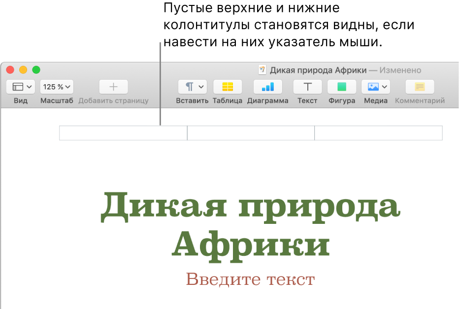 Как вставить картинку в верхний колонтитул