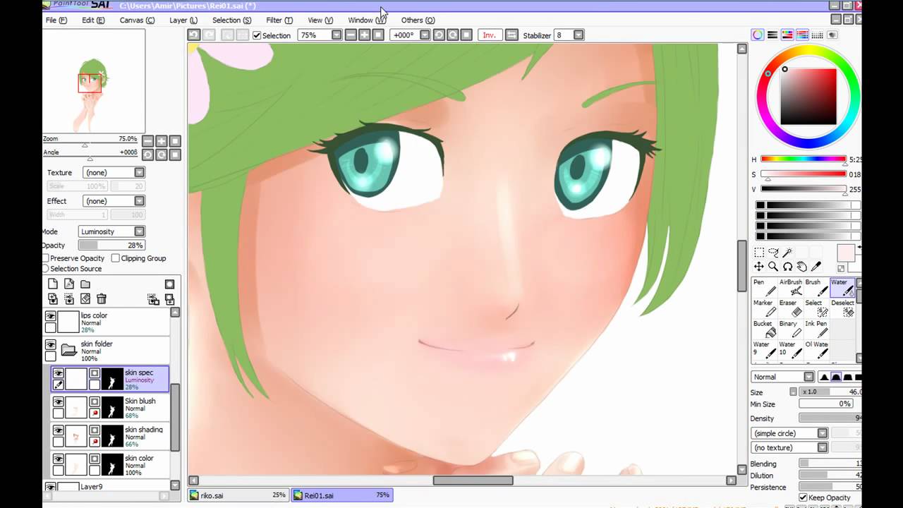 Paint to sai