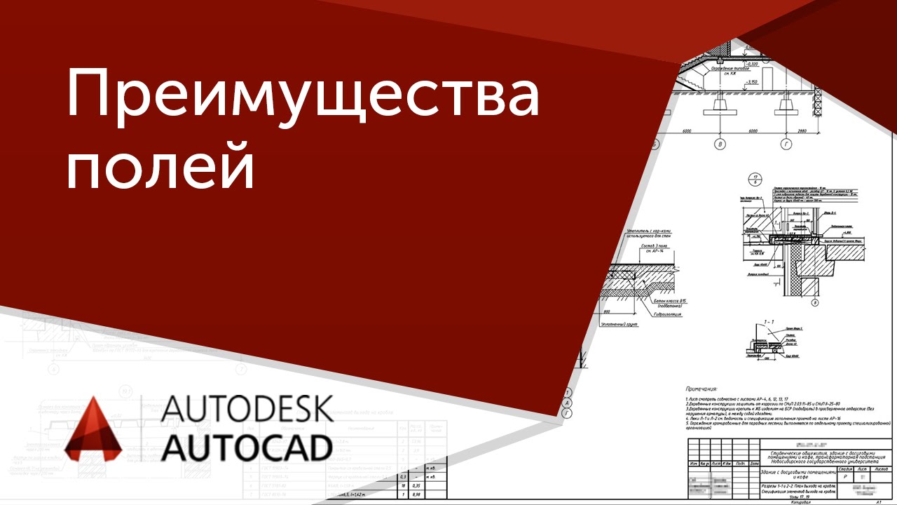 Курсы автокад. Преимущество AUTOCAD. Преимущества автокада. Преимущества и недостатки автокада. Свайное поле чертеж.