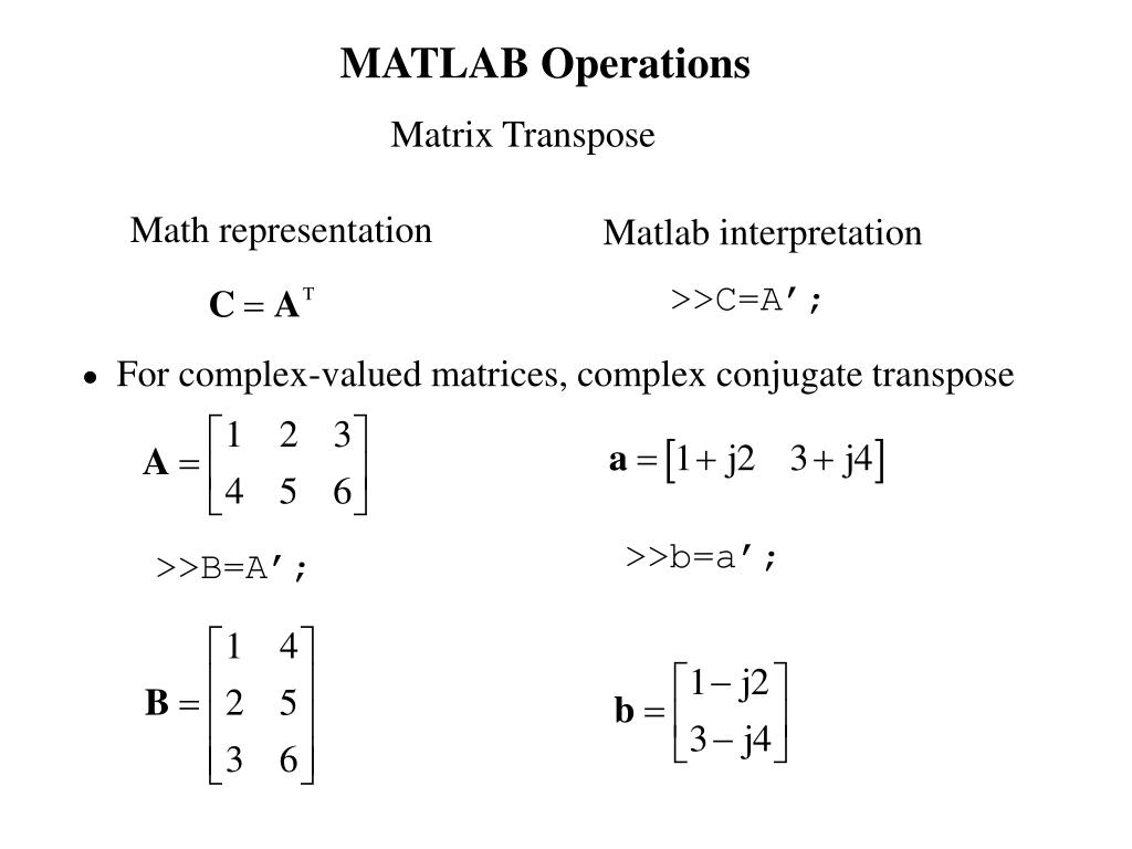 Investing a matrix matlab transpose forex facts