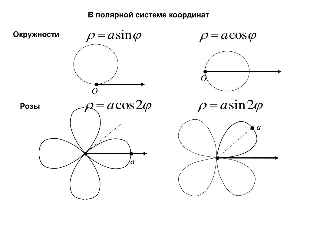 Построение полярной диаграммы