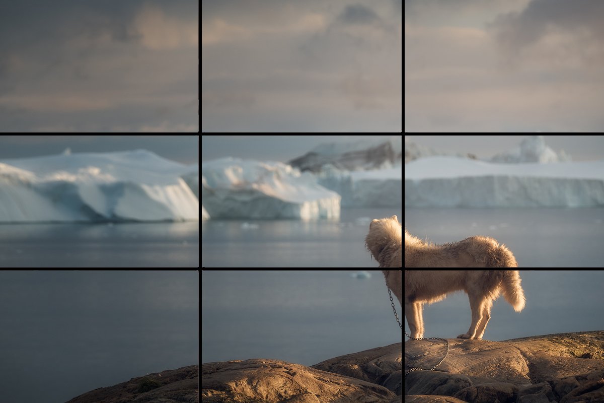 Чем отличается композиция фотографии от композиции кино