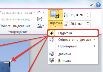 Как в ворде обрезать все картинки сразу