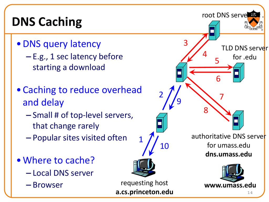 Что такое dns trap