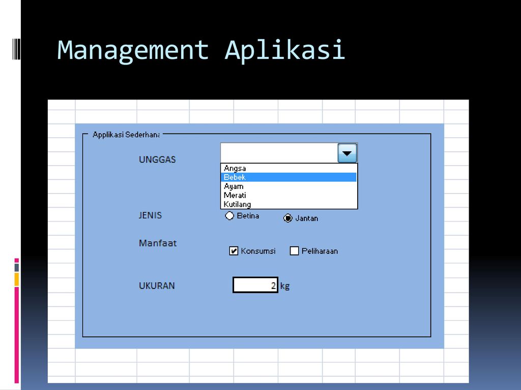 Excel access. Эксель и аксесс. Вывод по курсовой в excel и access.