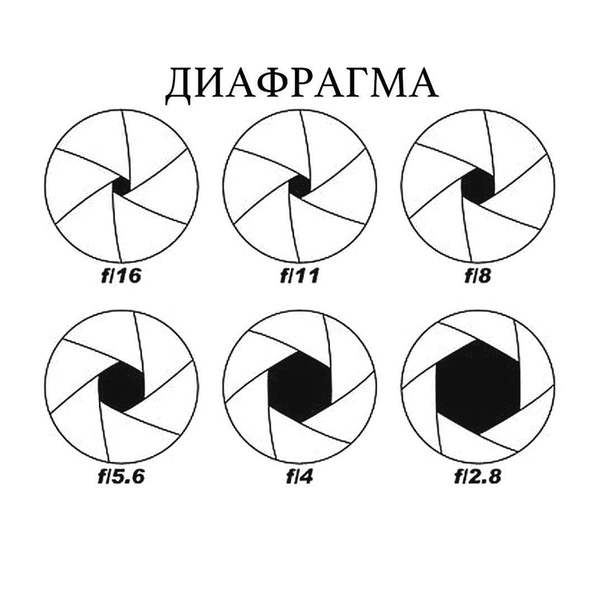 Диафрагма режим фото