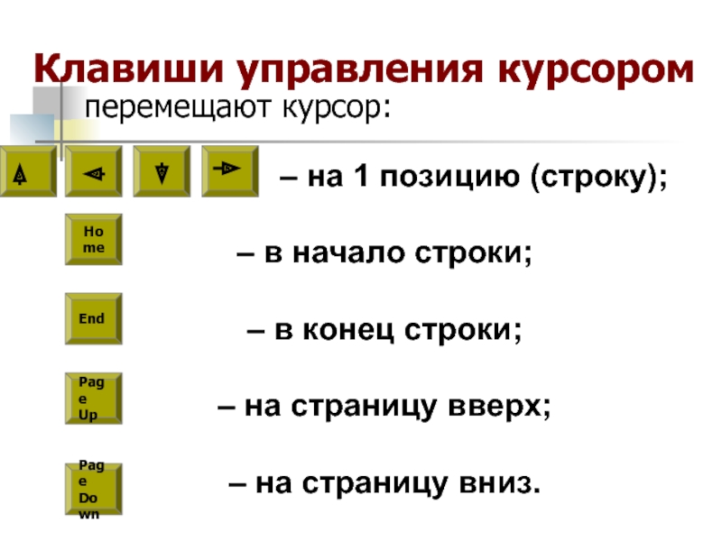 С помощью какой клавиши можно переместить курсор на следующее поле при заполнении форм на компьютере