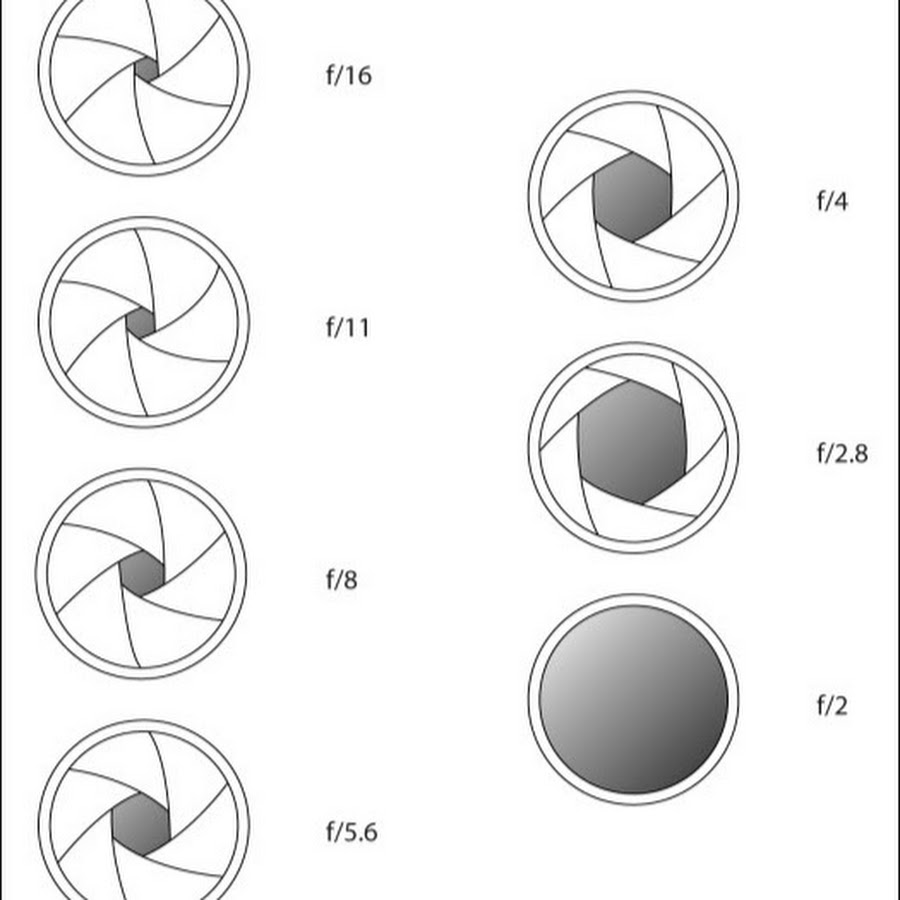 Диафрагма в фотоаппарате как выбрать Фотография для
